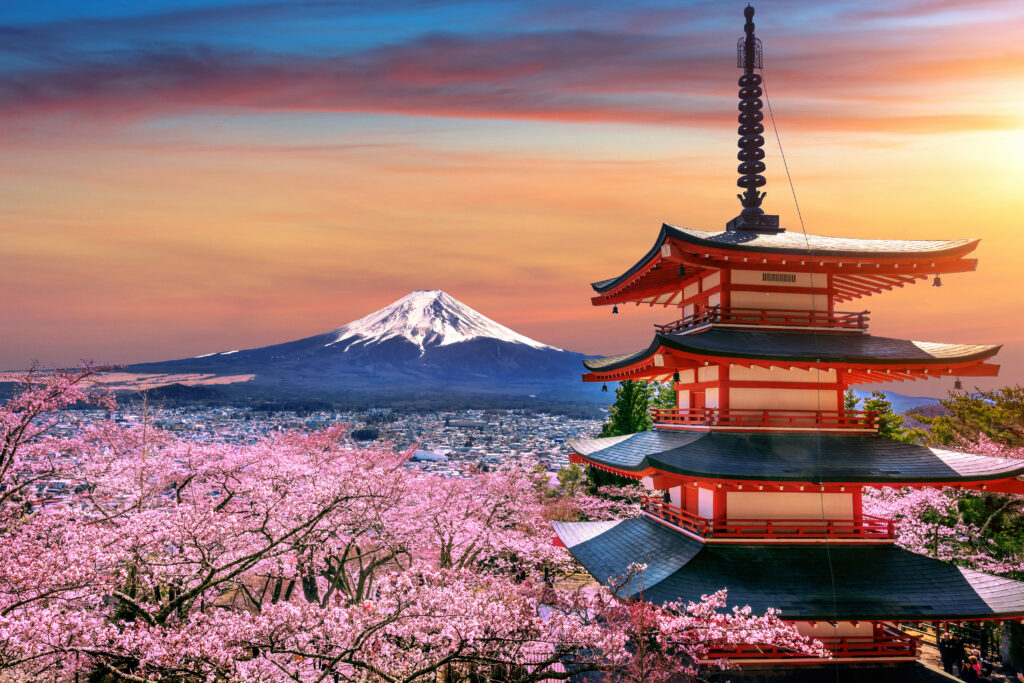 Cherry blossoms in spring, Chureito pagoda and Fuji mountain at