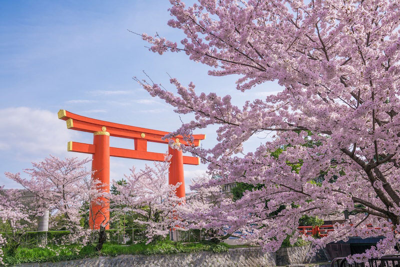kyoto,japan